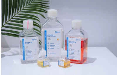 BioEngine svieti na Biochine 2025: vedúce biofarmaceutické inovácie s kultúrn...